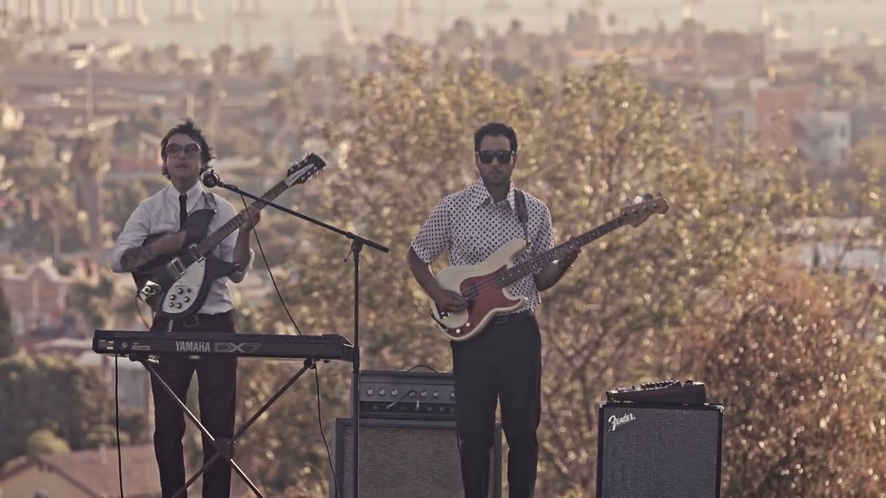 Beyond Santa Cruz | The Night Blooms - Vibrant Planes (Official Music Video)