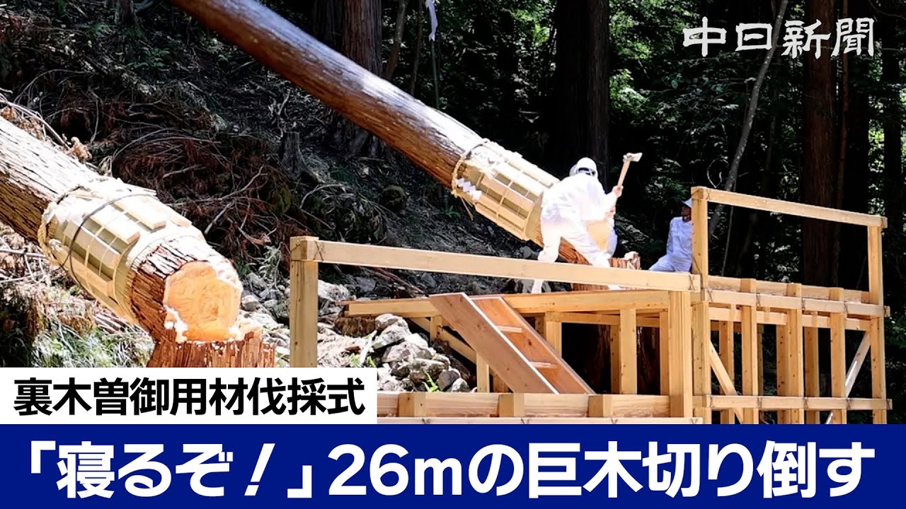 式年遷宮の神事の一つ「裏木曽御用材伐採式」　岐阜県中津川市