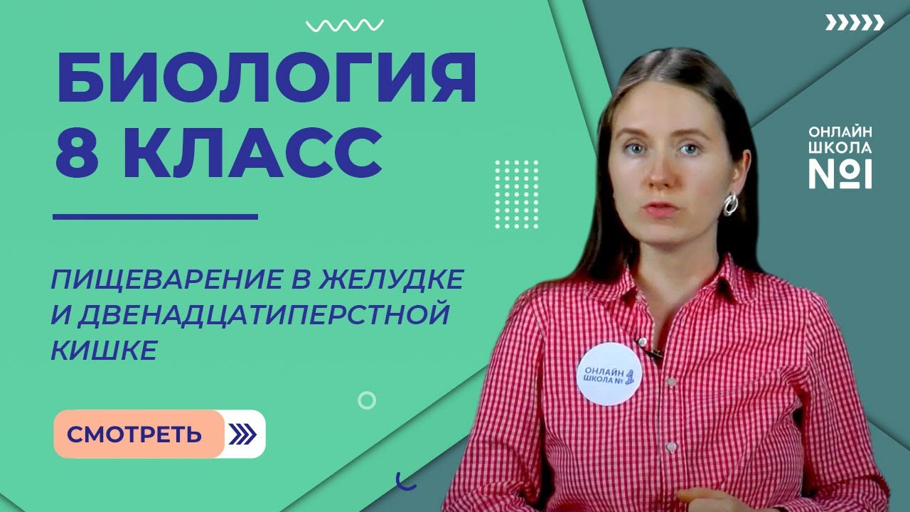 Пищеварение в желудке и двенадцатиперстной кишке. Видеоурок 22. Биология 8 класс