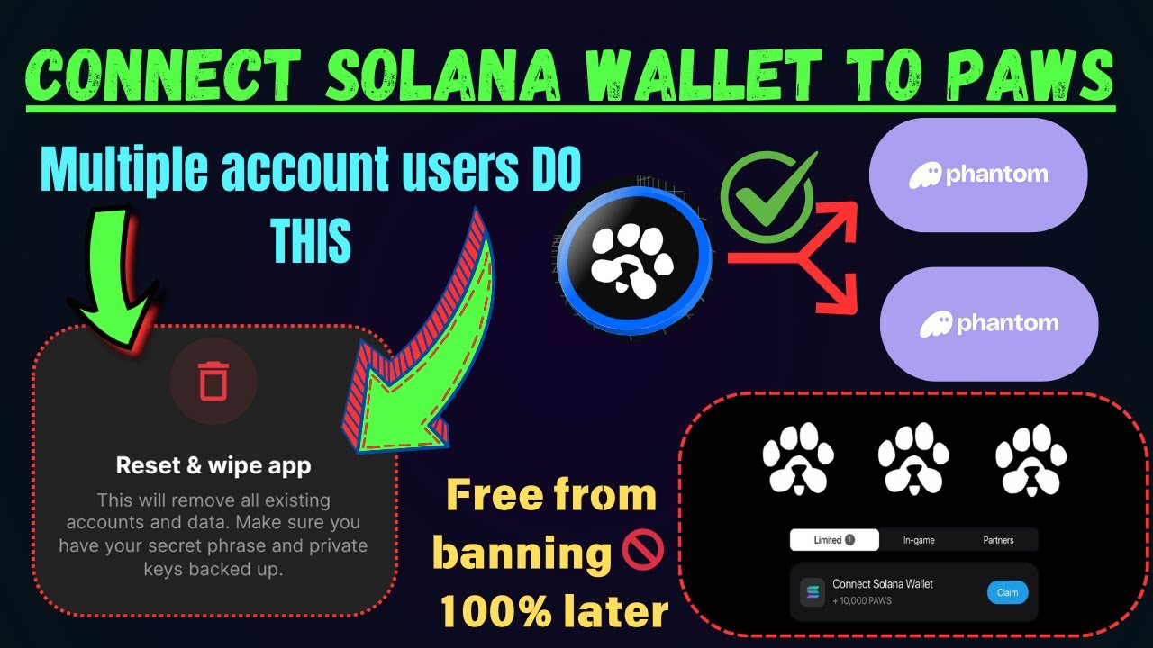 PAWS multiple accounts connect to phantom wallet Guide || connect Paws 🐾 to SOLANA wallet process