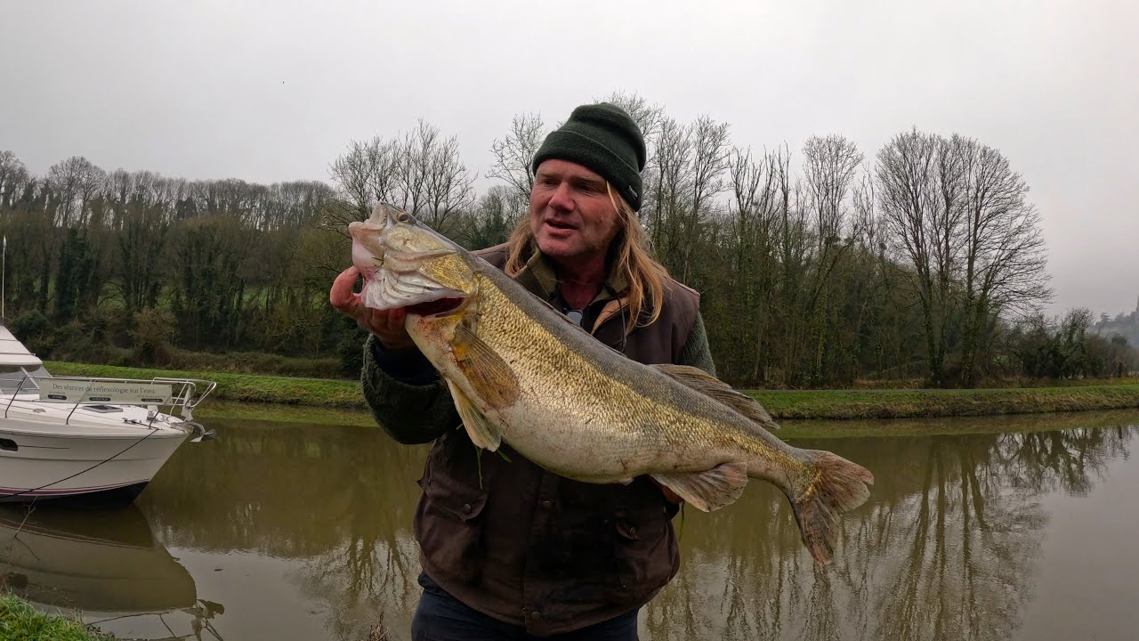 La pêche du sandre en Rance