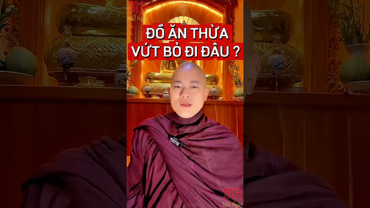 Đồ ăn dư thừa vứt bỏ đi đ&acirc;u #suminhquan  #m&oacute;năn_mỗing&agrave;y
