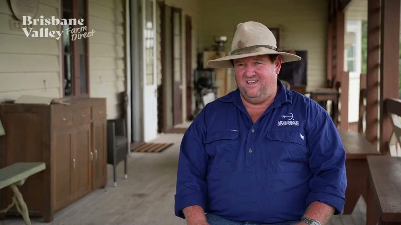 Mt Brisbane Droughtmasters - Legends of Beef