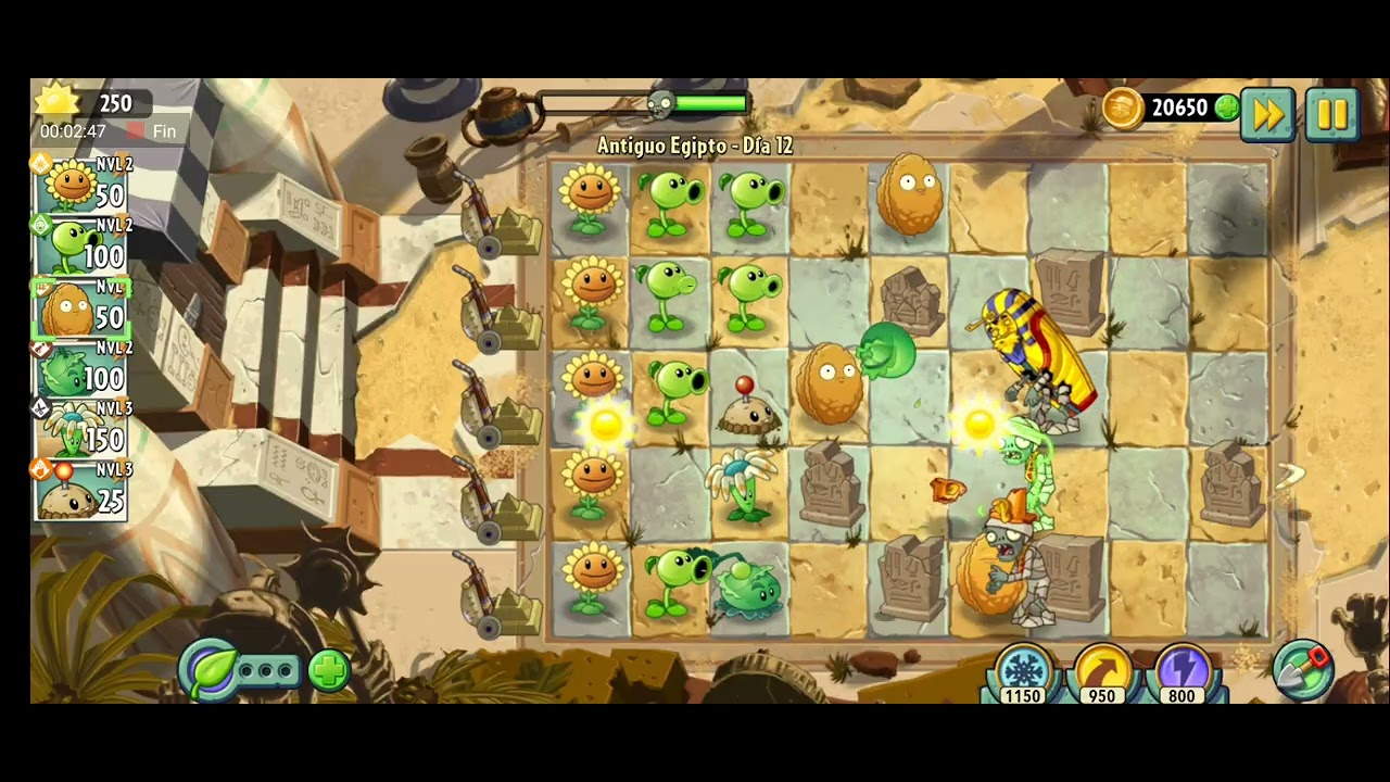 Plantas 2 