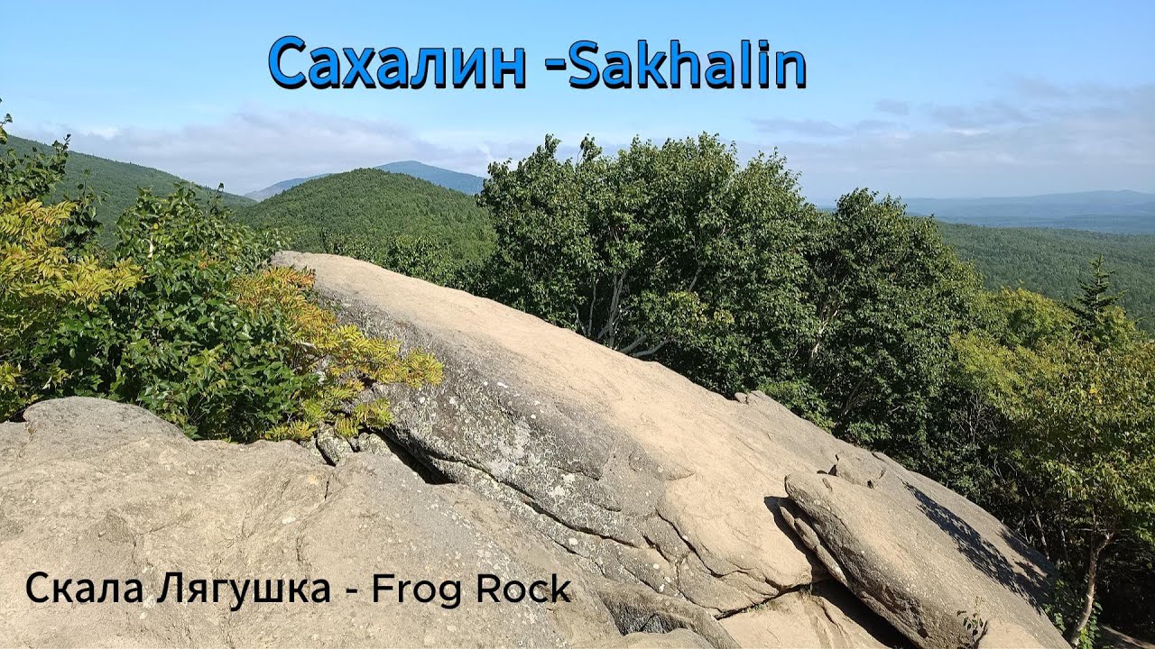 Сахалин Скала Лягушка - Sakhalin Rock Frog