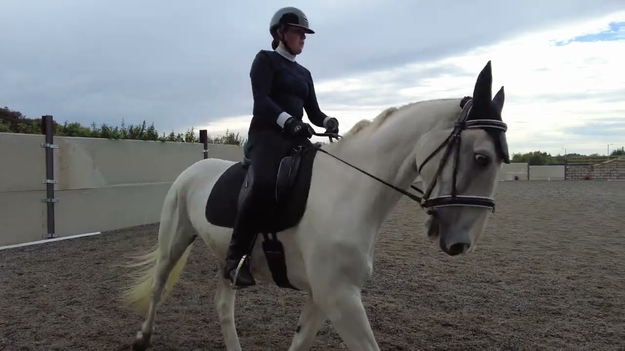 Intro 1 - Bomboy Grey & Tamara Greatrix (September 2024)