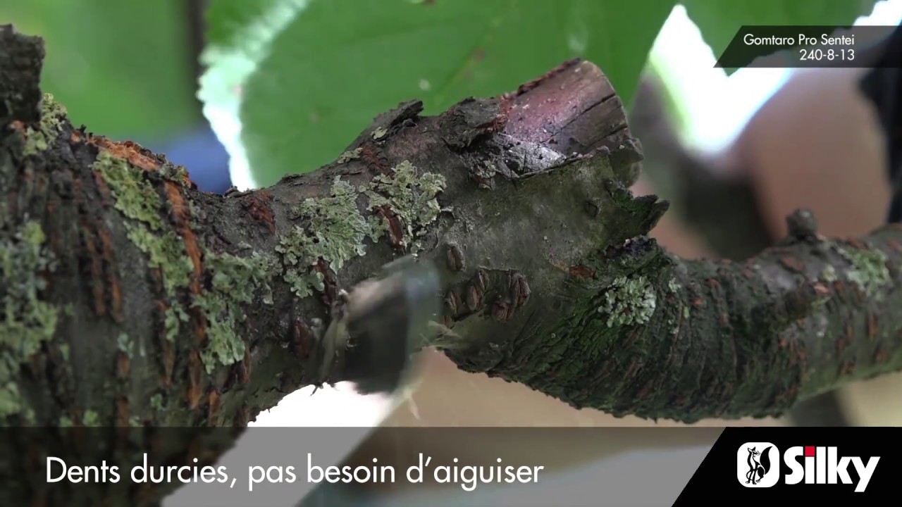 Gamme Scies Silky pour les jardiniers