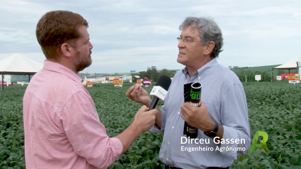 Gassen aponta que ocorreram evoluções desencontradas na agricultura