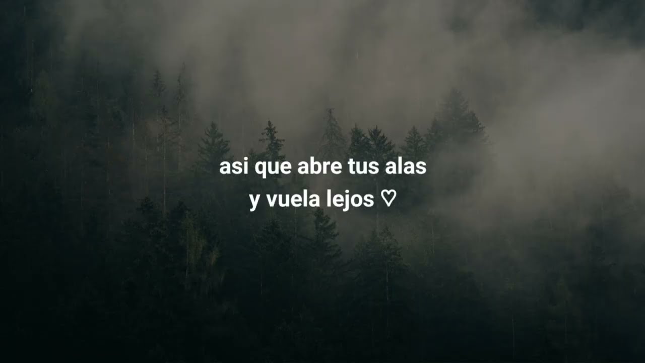 Esteban - Memories (Sub Español) 