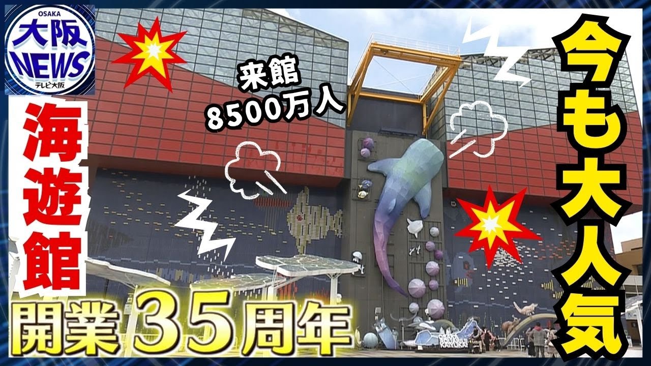 【海遊館】1990年開業以来人気のワケ 　リアルにこだわる展示620種3万点！