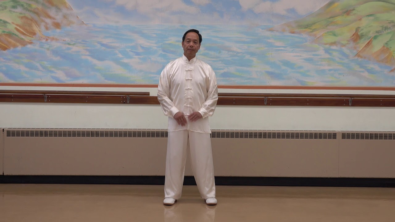 Chen Taiji Quan - Introduction
