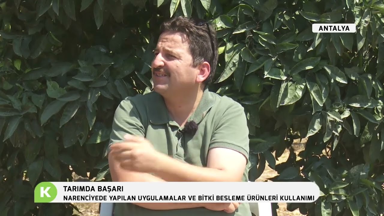 TARIMDA BAŞARI | NARENCİYEDE YAPILAN UYGULAMALAR VE BİTKİ BESLEME ÜRÜNLERİ KULLANIMI