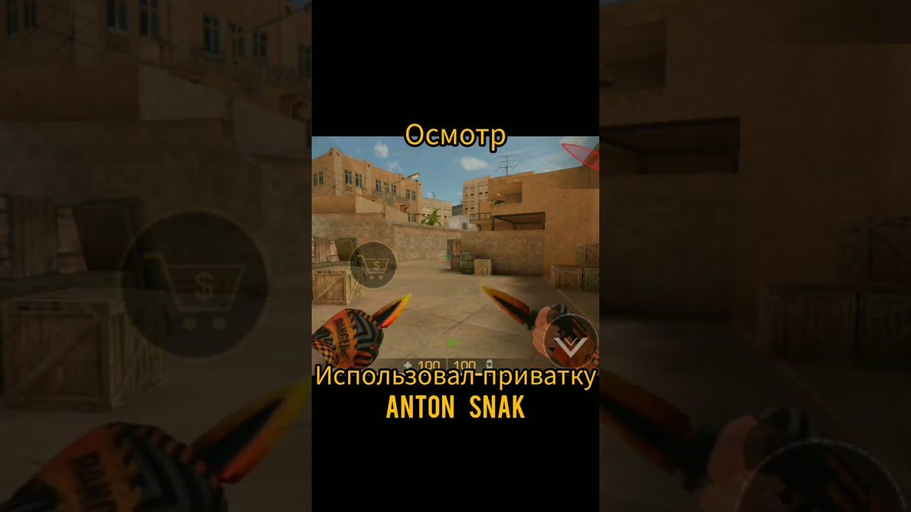 ВИДЕО ДЛЯ ТЕХ, КТО ХОТЕЛ КУПИТЬ Dual Daggers #shorts #standoff2 #privateserver #antonsnak