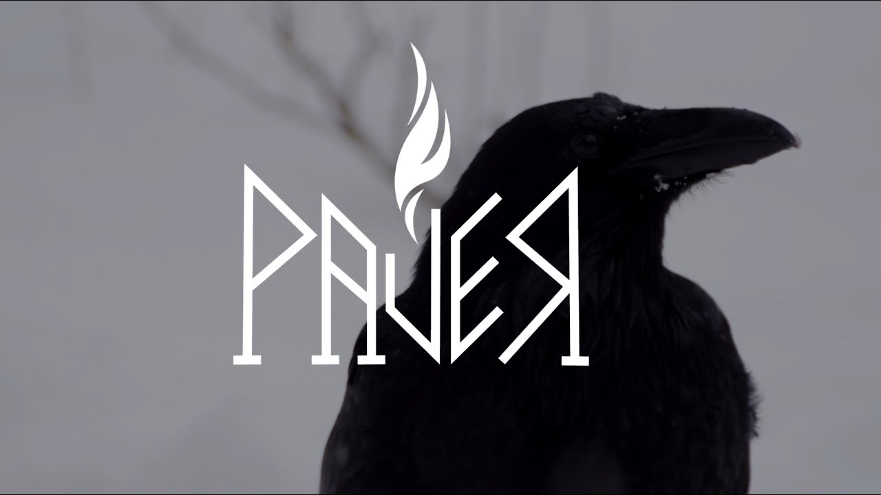 Pauer - Fate