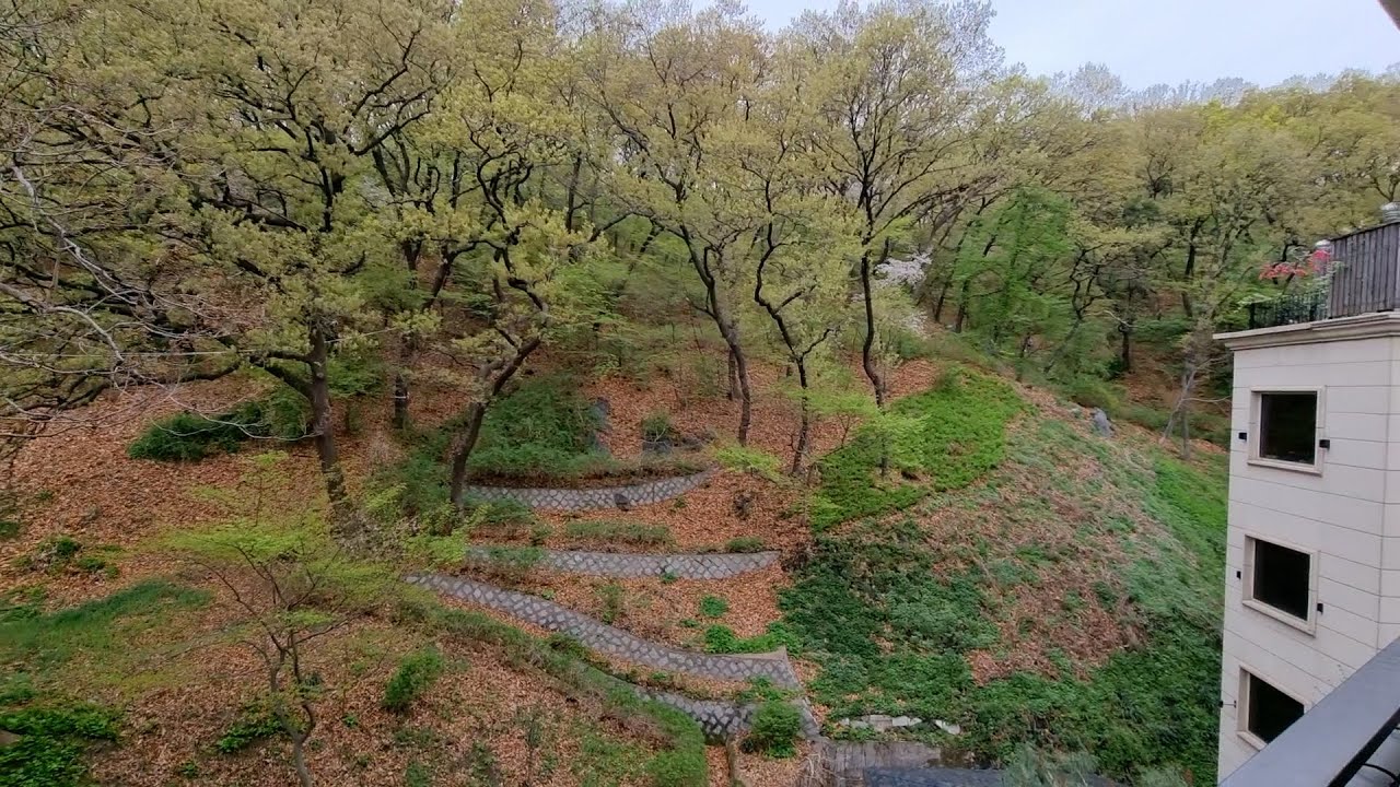 도곡동 고급빌라 이니그마빌, 매봉산 바로 아래 숲에 둘러싸인 집 | Luxury House Tour in Seoul, Korea