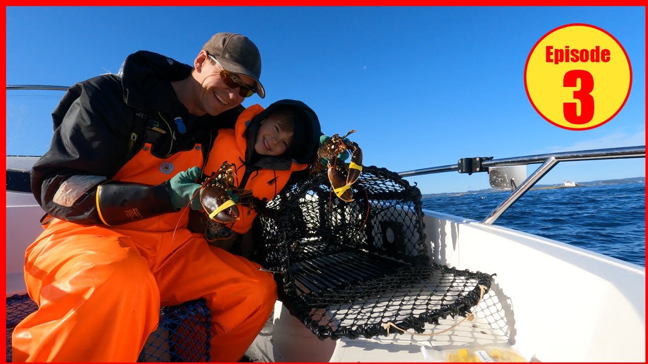 Hummerfiske 2023 Father & son fishing for LOBSTER in Norway