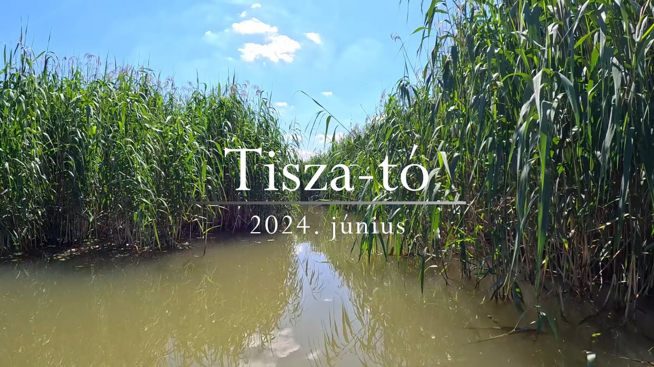 Tisza-tavi kirándulás