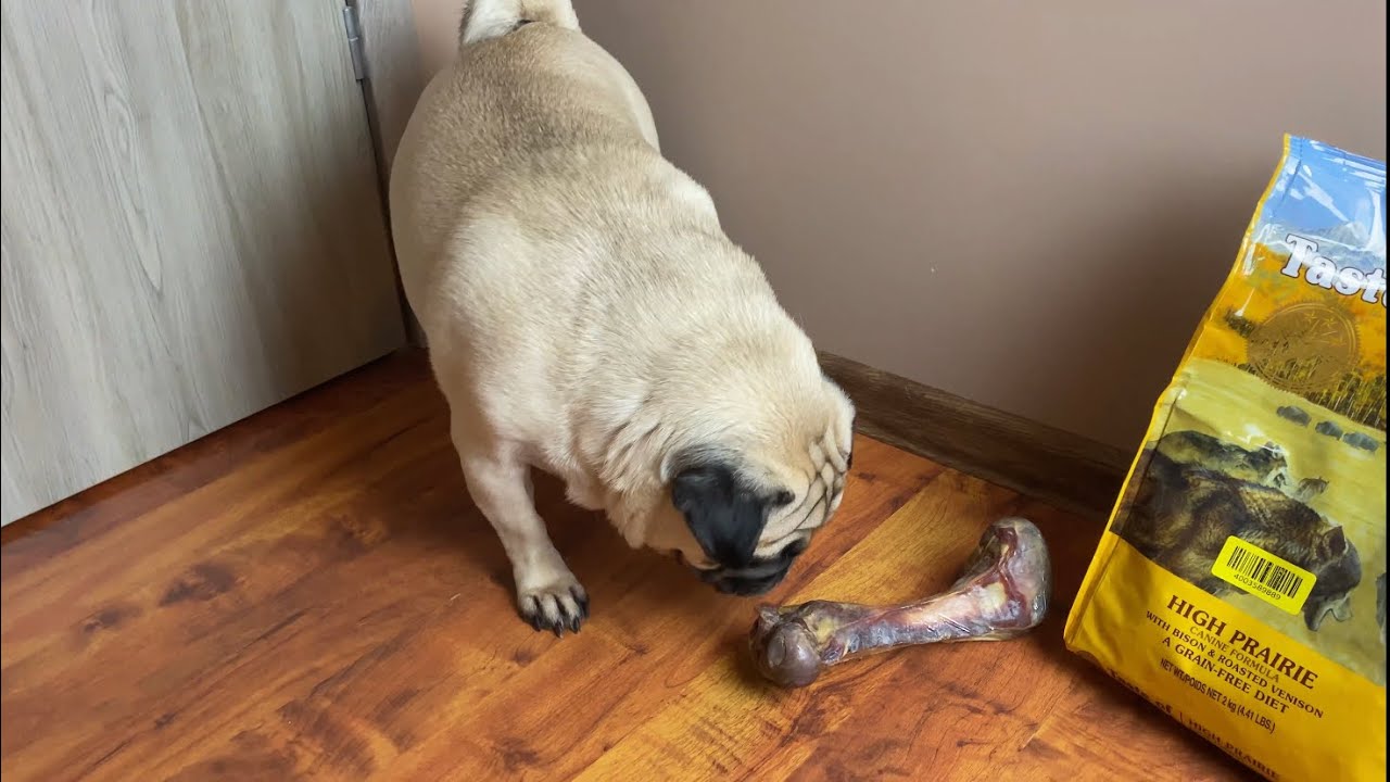 OPENBOX| MOPS PREZES GACUŚ 📦