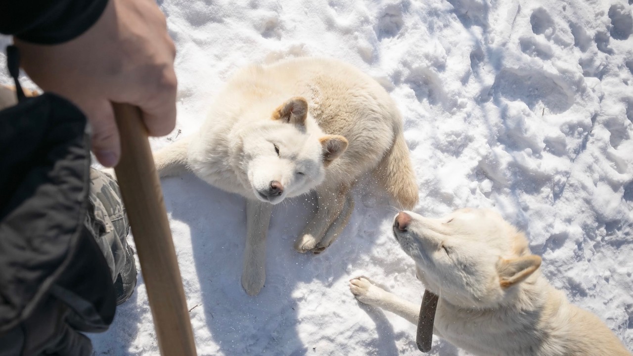 시골 감성 브이로그 | 9화. 새하얀 눈 위에 발자국을 남긴 날.