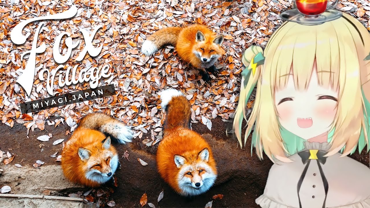 ⚡Pikamee Reacts to Cute Animals & The Japan Fox Village