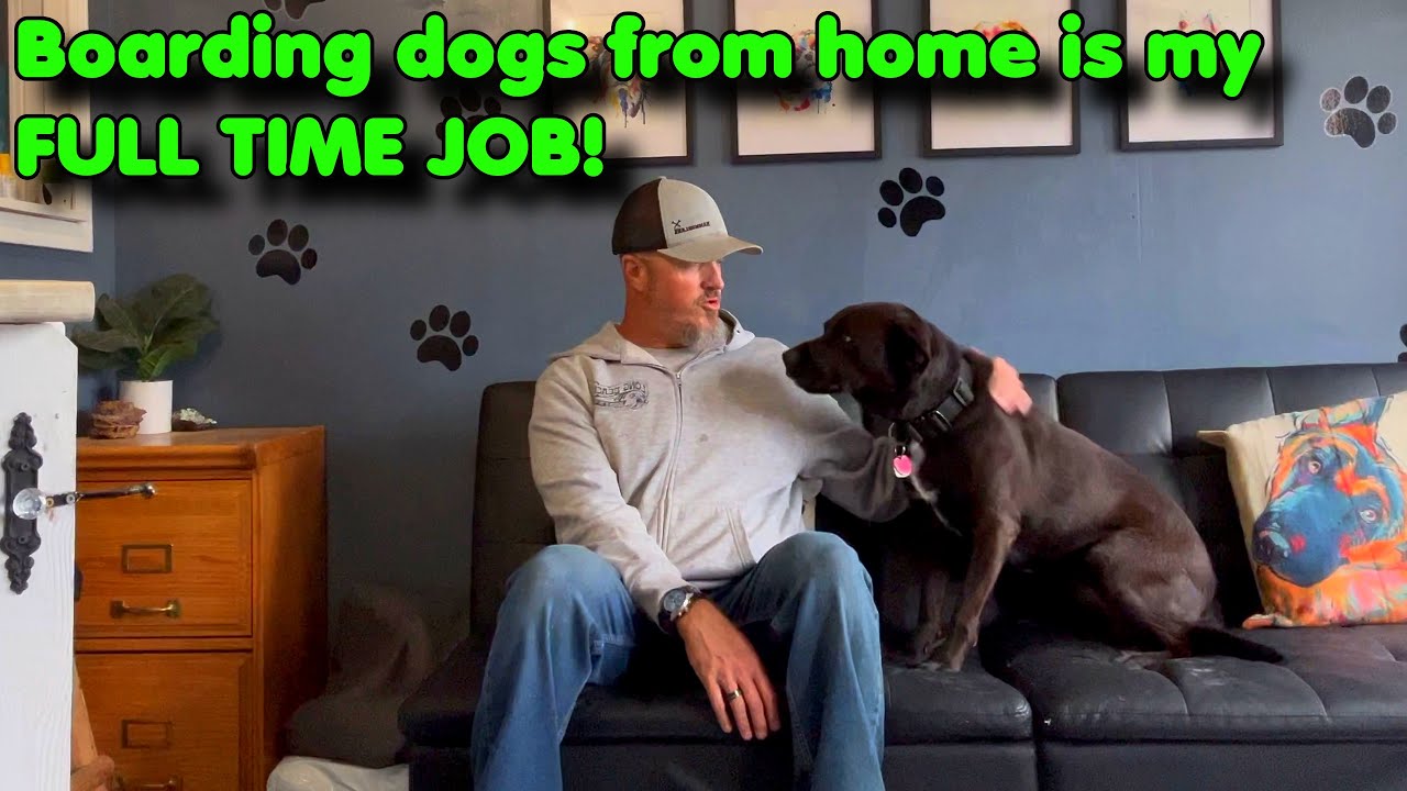 Boarding Dogs from home is my full time job! #dog #doglife