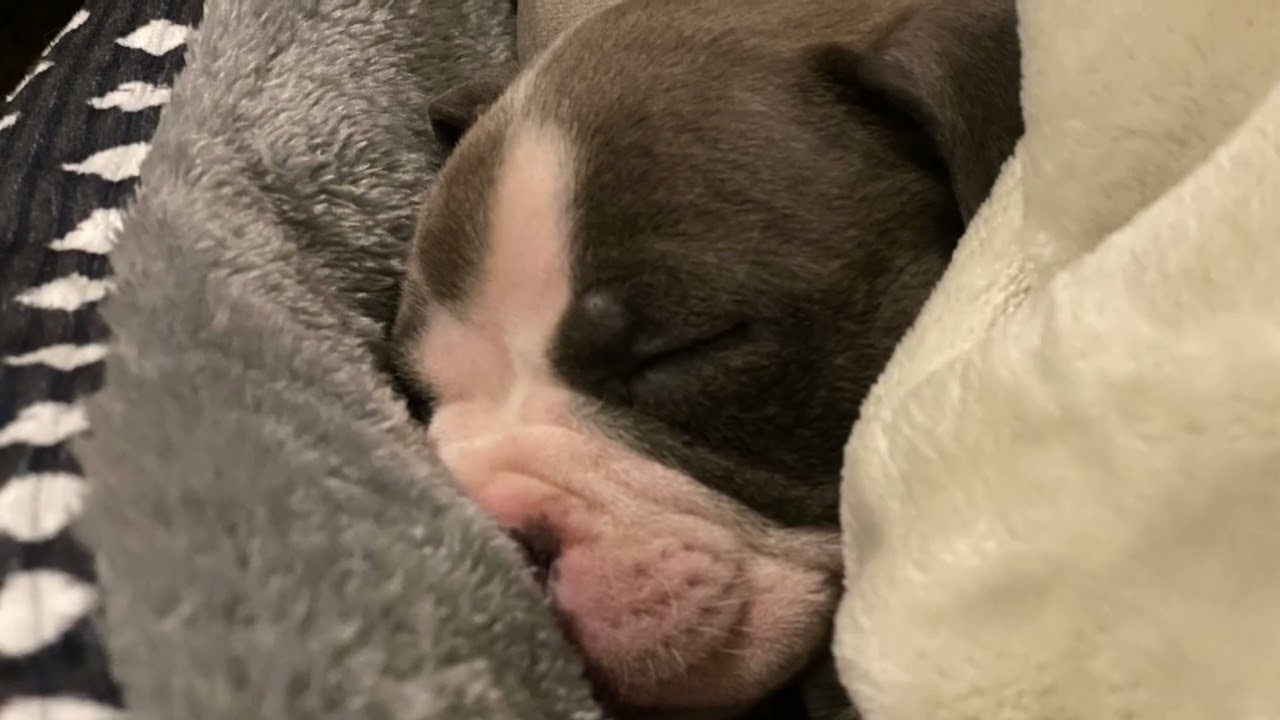 First night home ￼