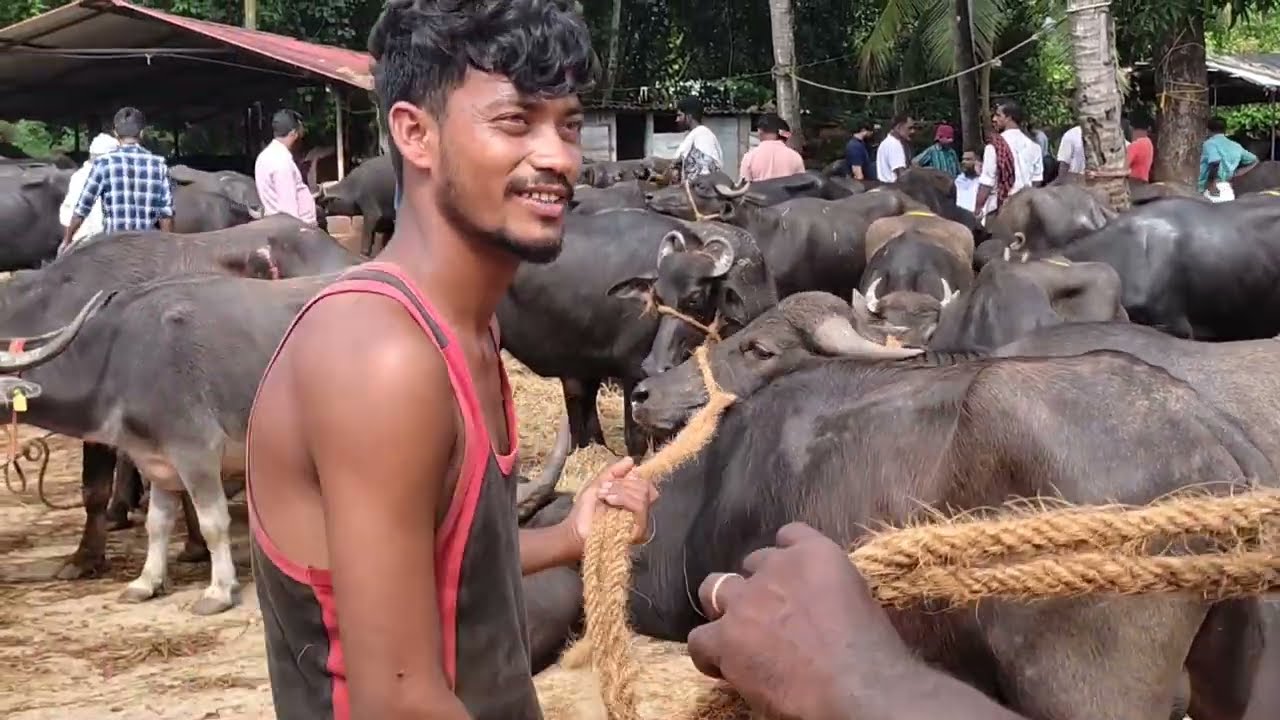 ഇന്നത്തെ കൊള്ളന്നൂർ ചന്ത