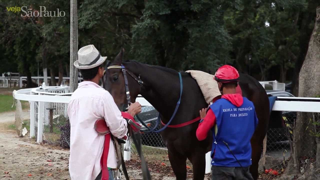 A rotina dos atletas e aprendizes do Jockey Club de São Paulo