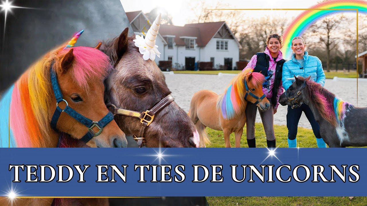 TEDDY & TIES OMTOVEREN TOT UNICORN! 🦄  | PaardenpraatTV