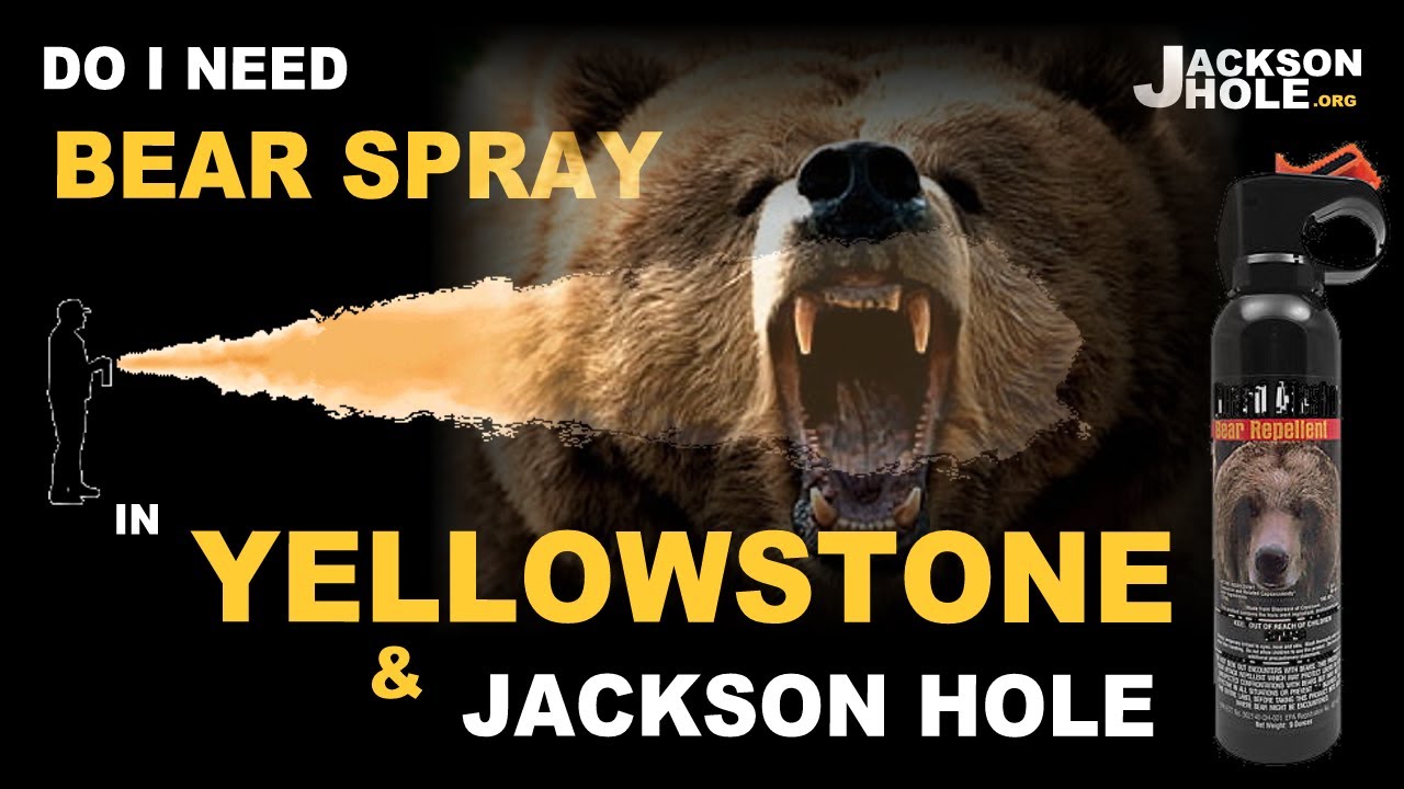 BEAR SPRAY in Yellowstone and Jackson Hole