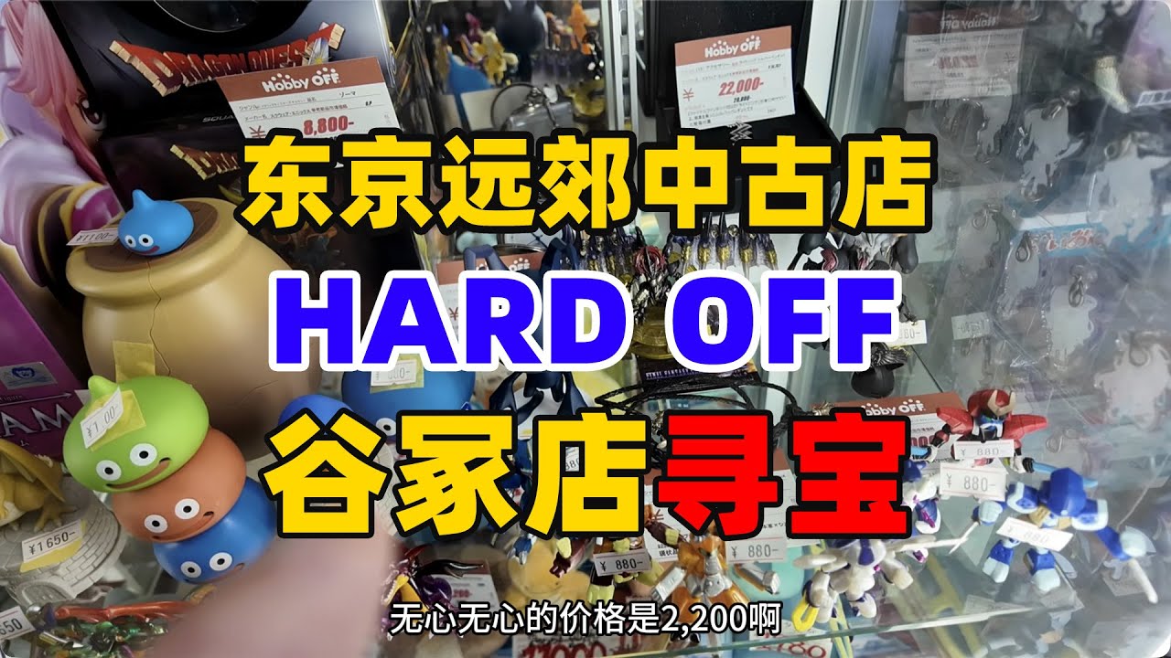 东京郊区中古hard off寻宝vlog│没想到是这个结果
