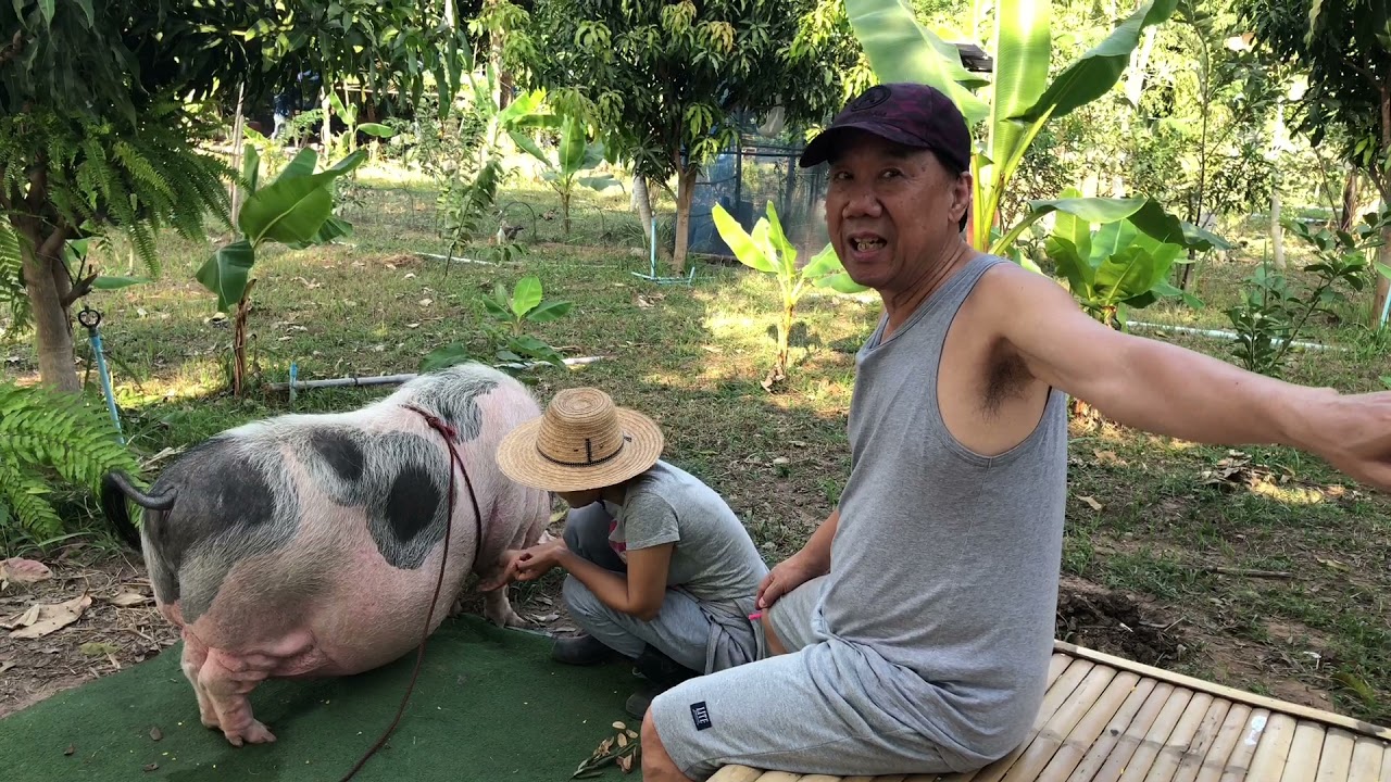 แอนนา ชวนชื่น ตกอับ! ต้องมาอาศัยบ้านเพื่อนอยู่