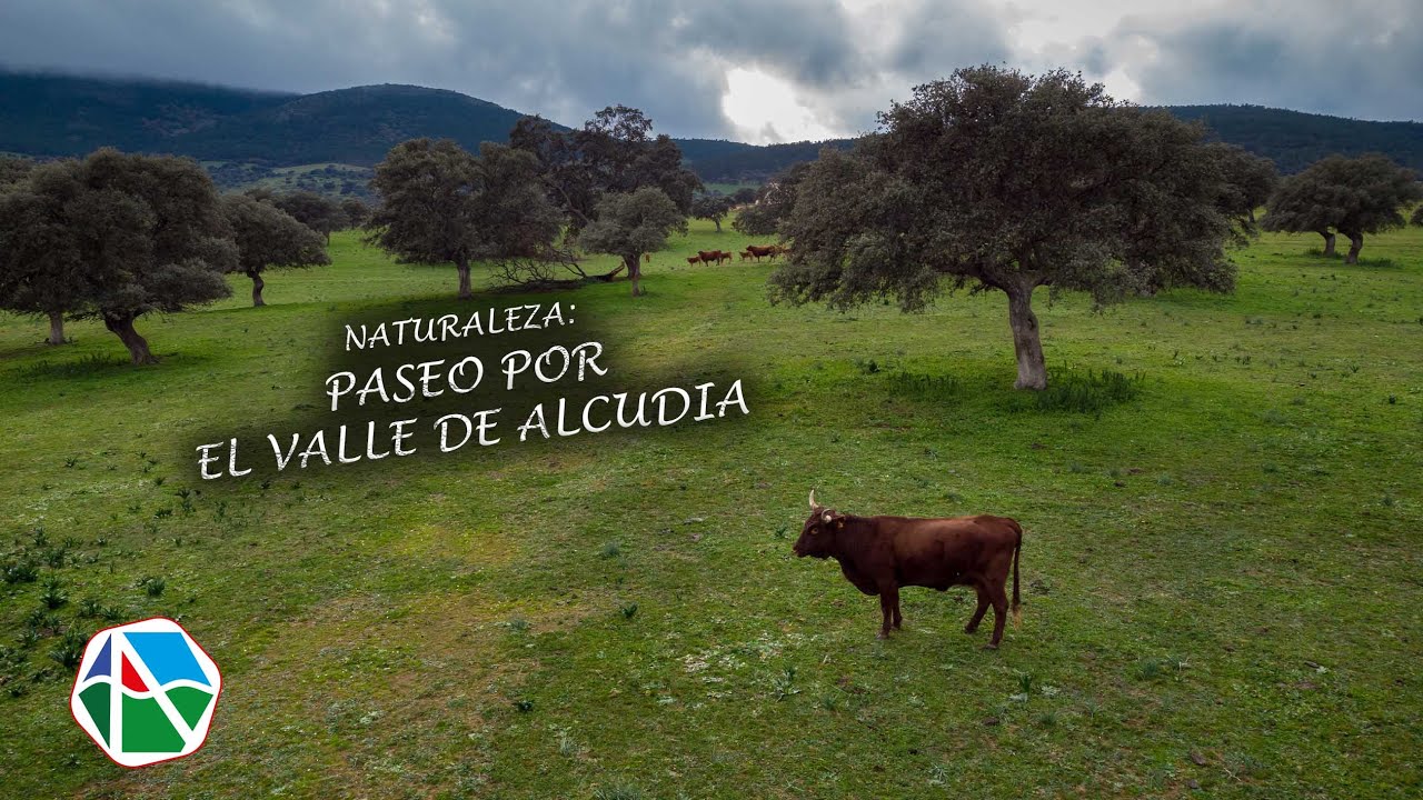 Paseo por el Valle de Alcudia
