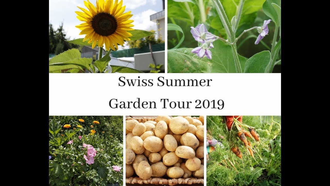 Swiss Summer Organic Vegetable Garden Tour (2019)