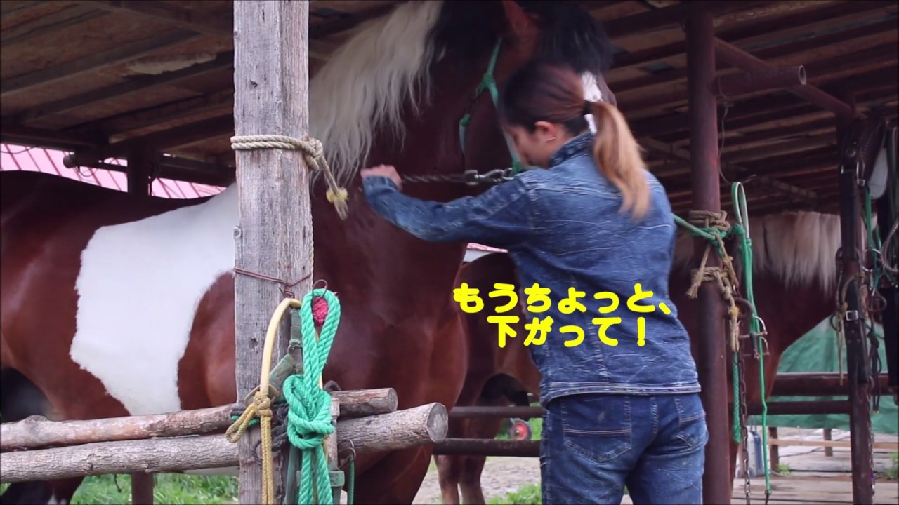 [ばんば通信] ブチオの手入れ