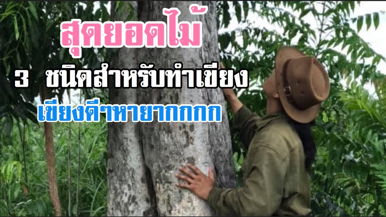 สุดยอดไม้สำหรับใช้ทำเขียง 3 ชนิด [ดินแดนแห่งเสรีภาพ]