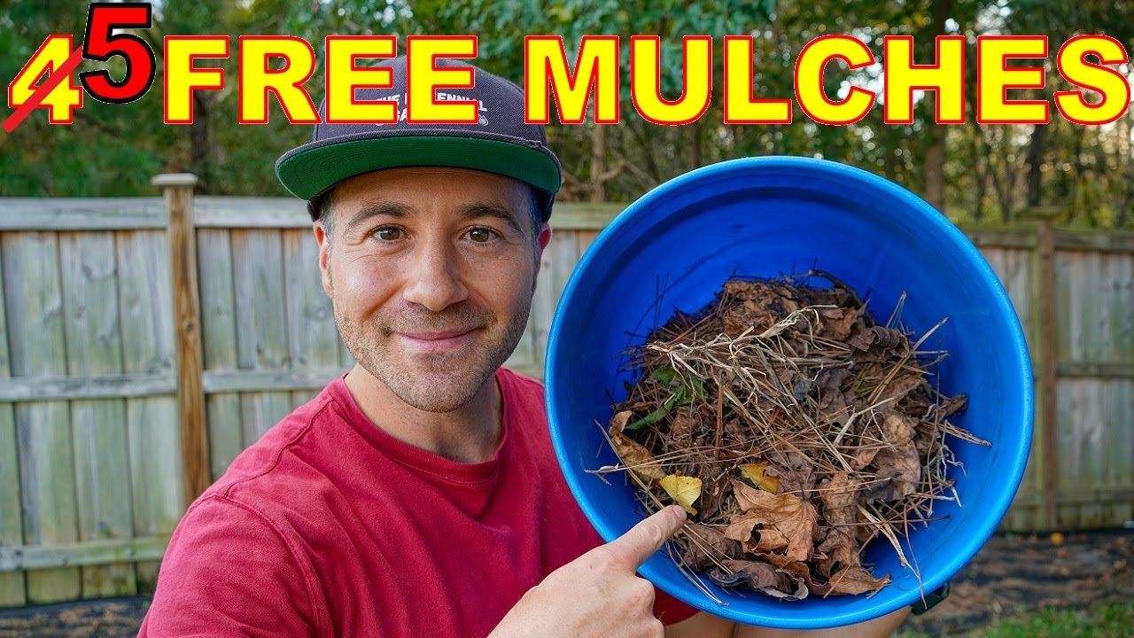 Big Box Stores Don't Want You To Know These FREE MULCH Hacks For Your Garden And Fruit Trees