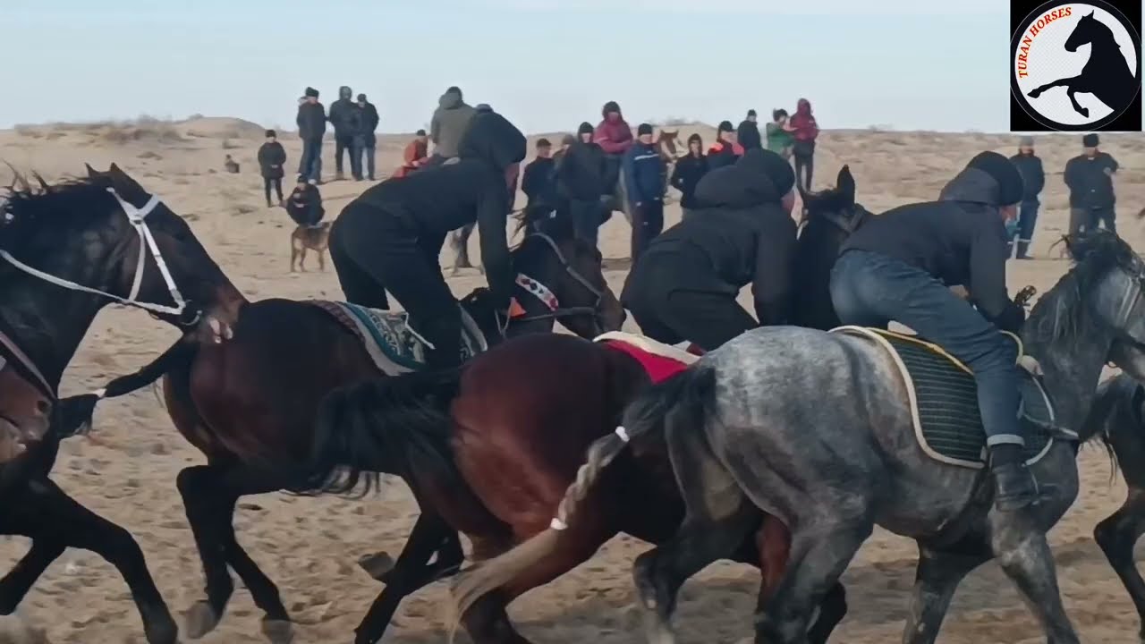 Коныратта байге 06-12-2023 Жанболат Венера 50 жас Айбол сундет той