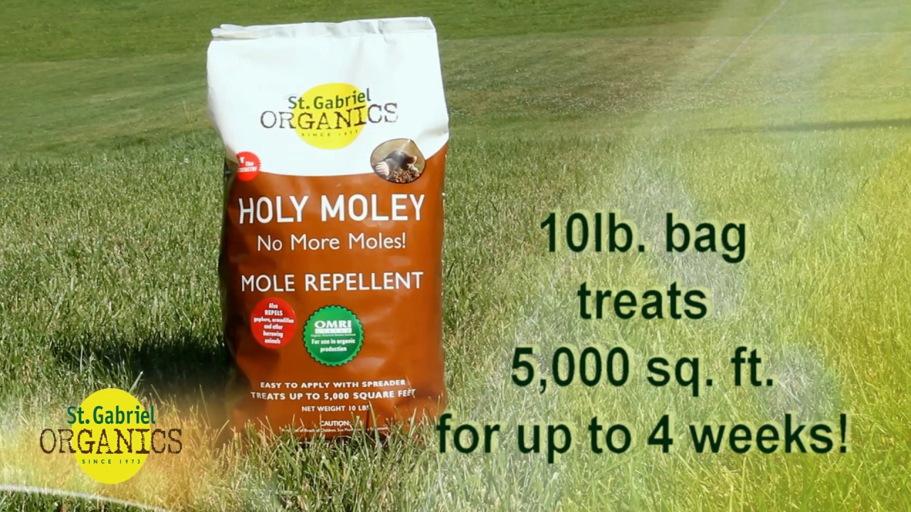 Holy Moley Organic mole and gopher control