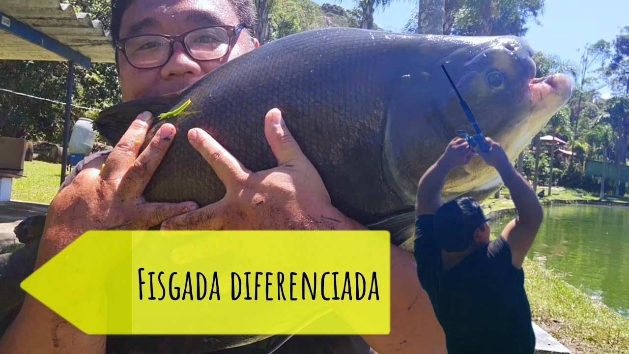 Hoje fomos conhecer o pesqueiro do ming&atilde;o e sairam bons peixes