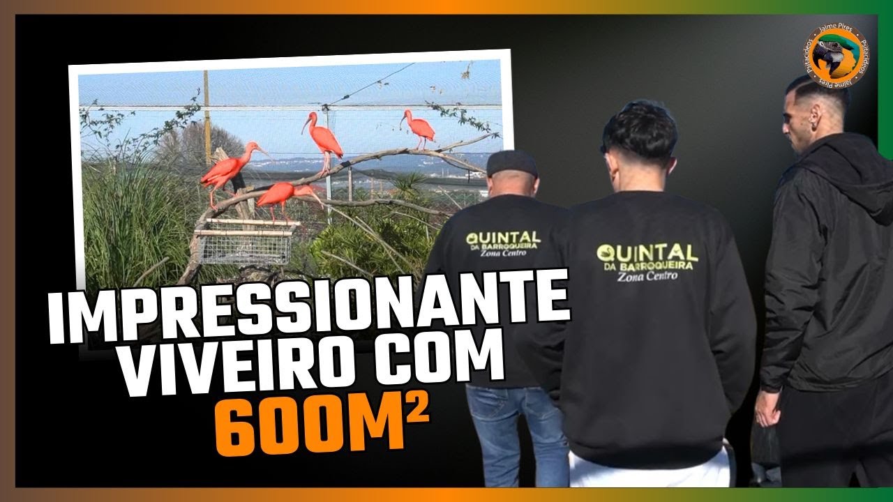 15 anos e um mundo de AVES: conhece o jovem criador com 3000m2 de ANATÍDEOS, MAMÍFEROS e muito mais