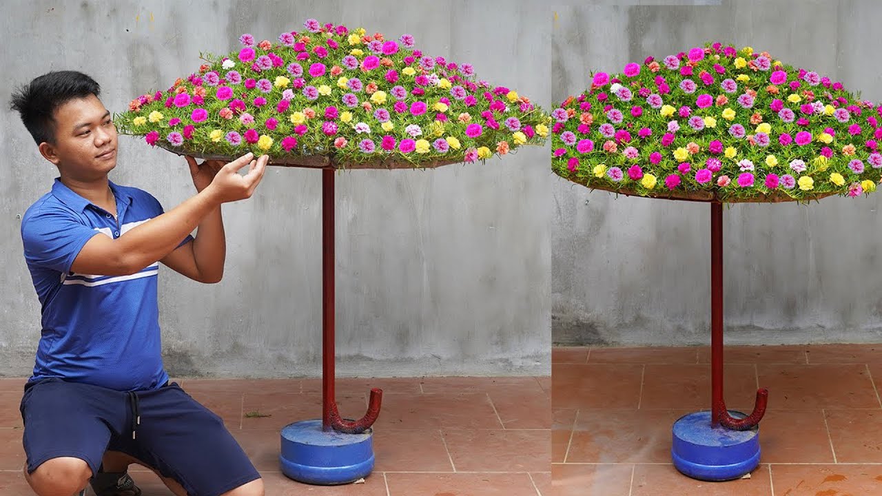 Transform Your Space with These Beautiful Blooms