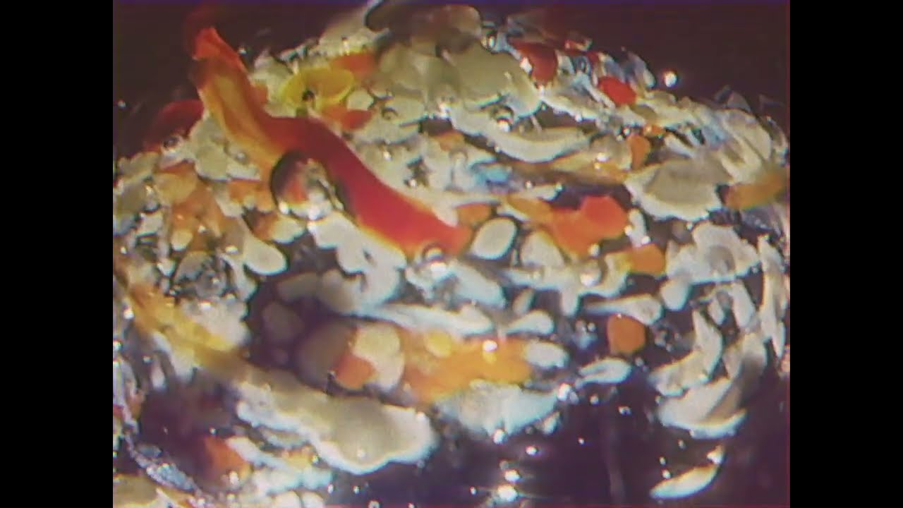 Cool company - Habit (blood cultures remix) a video I made because there was no wifi