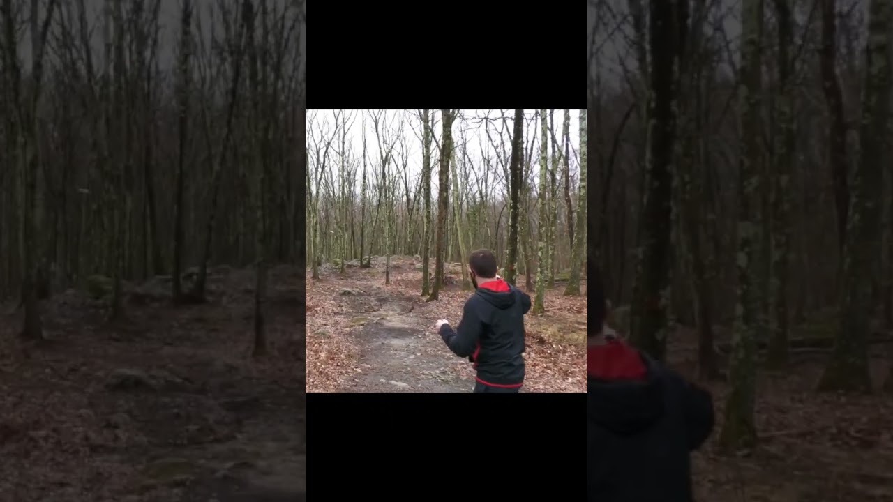 #shorts #discgolf #golf #discgolfeveryday #discgolfdaily