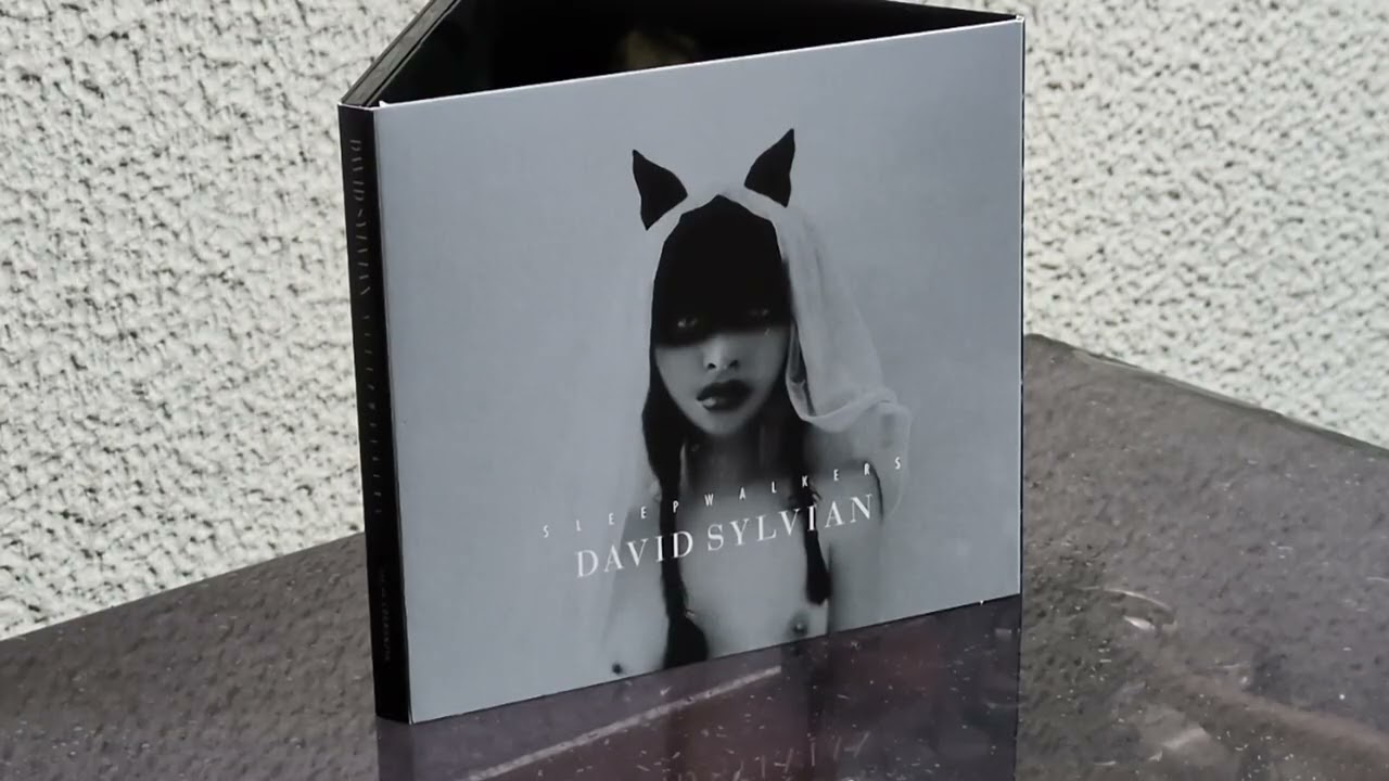 Do You Know Me Now ? / David Sylvian