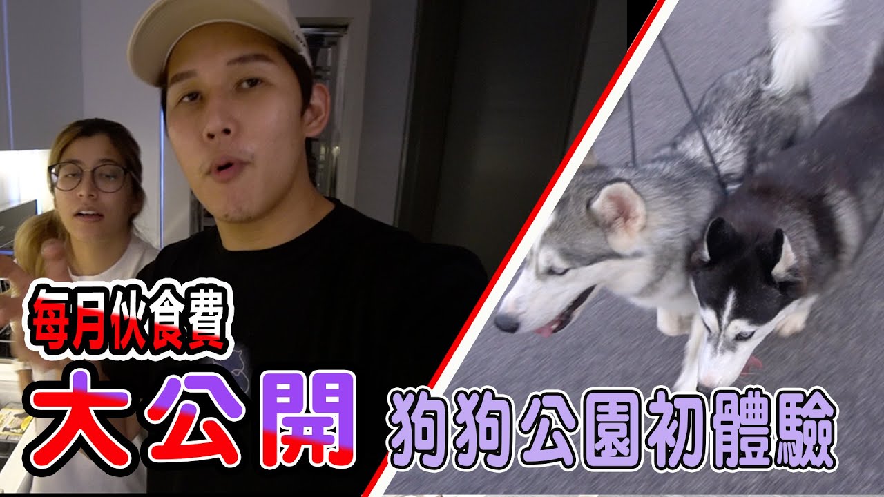 第一次帶狗狗散步公園初體驗！公開狗狗每月伙食費，驚人數字阿！husky first time walking and spending （Jeff Inthira  Kungfu Panda)