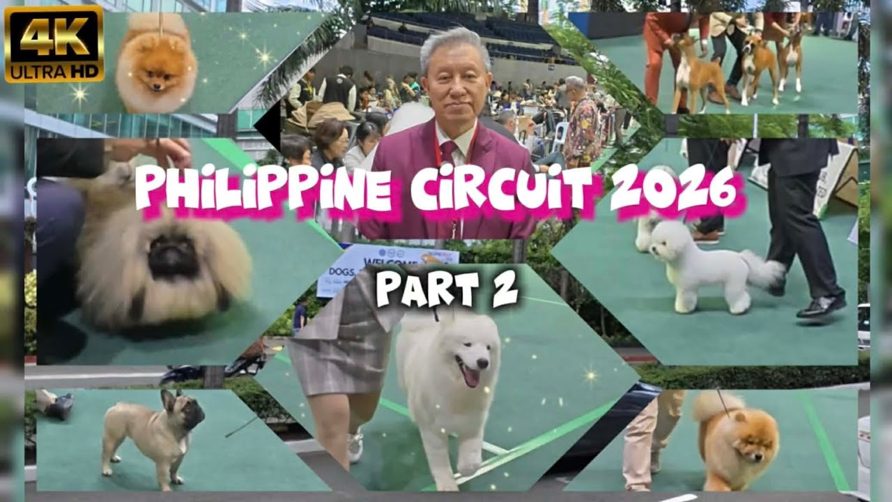 Amazing Dog Show at Philippine Circuit 2026 (Part 2 of 2)