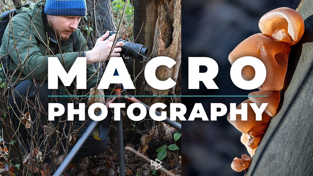 Macro Photography with a Nikon Z7 and Tokina 100mm 2.8 AT-X Pro