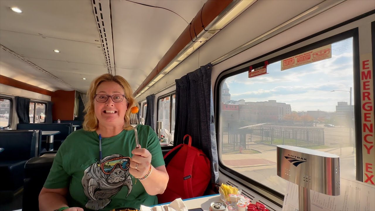Amtrak Texas Eagle: St Louis to Chicago!