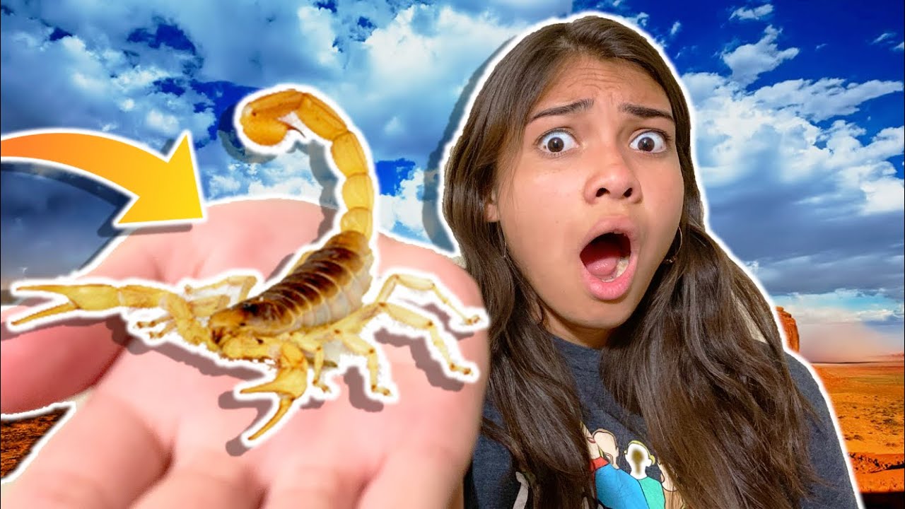 Our New PET!!